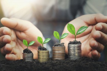 Emas atau Properti? Pilih Investasi Terbaik untuk Pemula