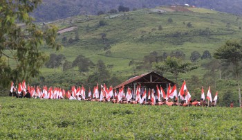 Sejarah Kebun Teh Kemuning: Dulu Kopi, Kini Daun Emas