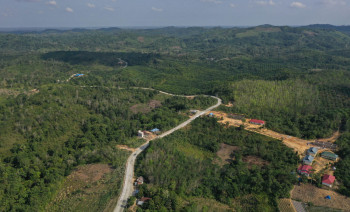 Menakar Kebutuhan Pangan di Ibu Kota Baru