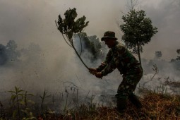 Memutus Rantai Bencana Kabut Asap, Bisa Nggak Ya?