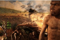 Pesona Manusia Purba di 5 Klaster Museum Sangiran