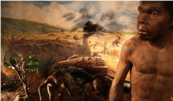 Pesona Manusia Purba di 5 Klaster Museum Sangiran