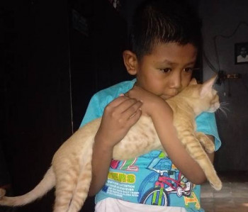 Hewan Peliharaan Bisa Mencelakai, Perhatikan Hal Ini Sebelum Memeliharanya