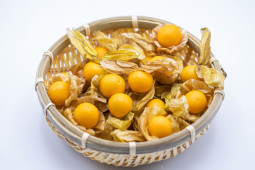 Alasan di Balik Buah Ciplukan Punya Harga Selangit