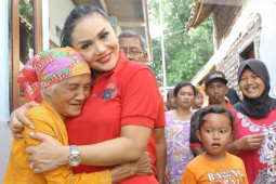 Artis Wajah Baru di DPR, Cocoknya Urusi Bidang Apa?