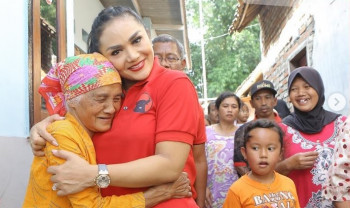 Artis Wajah Baru di DPR, Cocoknya Urusi Bidang Apa?