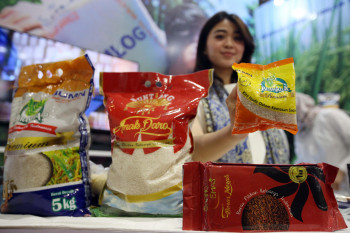 Dulu Golden Rice, Kini Beras Bervitamin ala Bulog