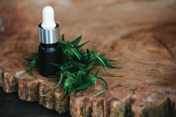 Malaysia Berencana Melegalkan, Ini Dampak Ganja pada Kesehatan