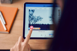 Temui PNS Punya 11 Perilaku Ini, Laporkan ke Portal Aduan ASN