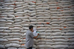 20.000 Ton Beras bakal Dibuang, Bisa untuk Makan Sekabupaten Setahun