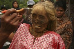 Ma’nene: Ritual Adat Mengganti Pakaian Mayat