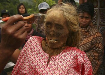 Ma’nene: Ritual Adat Mengganti Pakaian Mayat