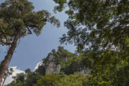 Keunikan 5 Tempat Wisata di Provinsi Termuda di Indonesia