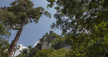 Keunikan 5 Tempat Wisata di Provinsi Termuda di Indonesia
