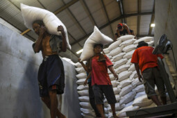 Beras Bulog 20.000 Ton Nyaris Dibuang Laku Rp1.167/Kg