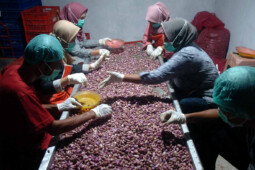 38 Juta Orang Kerja di Bawah 35 Jam Seminggu, Dapat Gaji Per Jam?