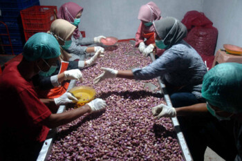 38 Juta Orang Kerja di Bawah 35 Jam Seminggu, Dapat Gaji Per Jam?