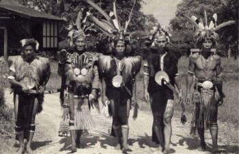 Ngayau, Tradisi Suku Dayak Penggal Kepala Manusia