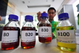 B30 Diterapkan 2020, Solar Bakal Dicampur Kelapa Sawit 30%