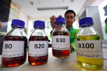 B30 Diterapkan 2020, Solar Bakal Dicampur Kelapa Sawit 30%