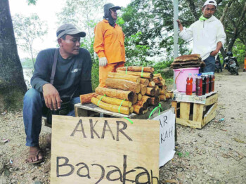 Ketika Air Rebusan Akar Bajakah Dibagikan Cuma-Cuma