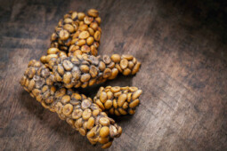 Kopi Luwak Bermula dari Tak Sengaja Kini Jadi Termahal di Dunia