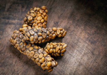 Kopi Luwak Bermula dari Tak Sengaja Kini Jadi Termahal di Dunia