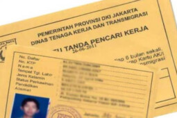 Cara Mudah Bikin Kartu Kuning bagi Para Pencari Kerja