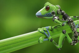 Robot Pakai DNA Makhluk Hidup, Ini Keunggulan Xenobot