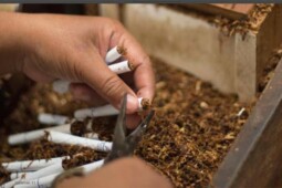Daftar Harga Rokok 2021, Berapa yang Paling Murah?