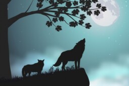 Misteri Hewan Liar hingga Susutnya Hutan di Balik Kematian Ratusan Ternak
