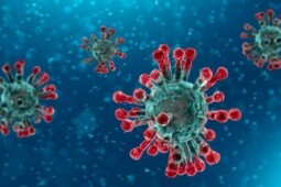Kasus Covid-19 Siap Tembus 2 Juta, Seberapa Kuat Virus Corona Dibanding Flu Babi?
