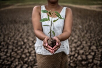 Perubahan Iklim Bikin Perempuan Terpojok dan Jadi Korban