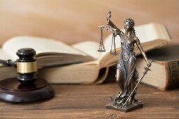 Omnibus Law, Kompromi Amerika hingga Diadopsi Indonesia