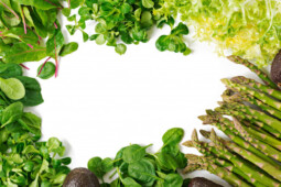 Yuk Bikin Apotek Hidup, Alternatif Menyediakan Obat Herbal Keluarga