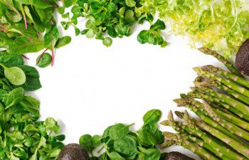 Yuk Bikin Apotek Hidup, Alternatif Menyediakan Obat Herbal Keluarga