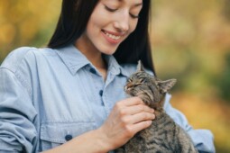 Kucing Suka Pipis Sembarangan? Kenali Penyebabnya