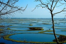 Ajaib, Sederet Pulau Ini Bisa Bergerak dan Berpindah Tempat