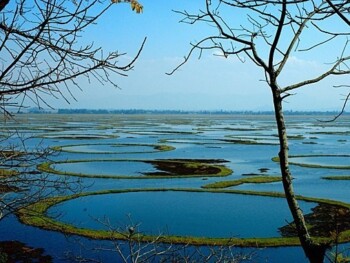 Ajaib, Sederet Pulau Ini Bisa Bergerak dan Berpindah Tempat