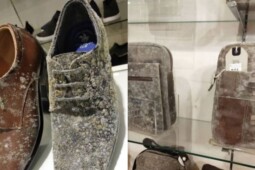 Viral Tas dan Sepatu Berjamur di Mal, Ini Tips Merawat Koleksi Kulit Agar Awet
