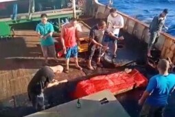 Ungkap Berita Kasus ABK di Kapal China, Ini Fakta Youtuber Jang Hansol