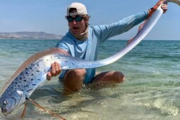 Dari Oarfish hingga Hujan Darah, Fenomena Biasa atau Isyarat Alam?