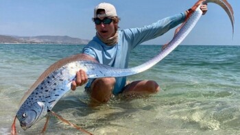 Dari Oarfish hingga Hujan Darah, Fenomena Biasa atau Isyarat Alam?