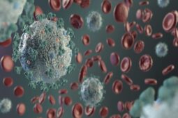 Awas 5 Mitos Virus Corona Ini Bisa Picu Munculnya Gelombang Kedua