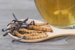 Berpotensi Lawan Corona, Begini Cara Amain Konsumsi Jamur Cordyceps