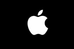 Alasan Loyalitas Pengguna dan Rekomendasi iPhone 2020