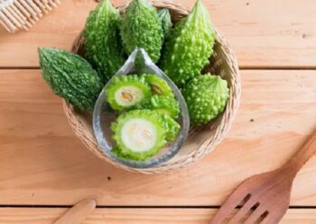 Pare, Si Pahit yang Punya Segudang Manfaat