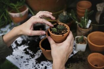 Makin Ngetren Selama Pandemi, Inilah Deretan Manfaat Berkebun