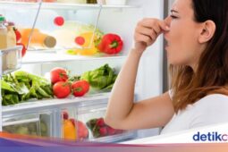 Ingin Hilangkan Bau Kulkas yang Tak Sedap? Pakai 6 Bahan Alami Ini