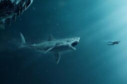 Hiu Megalodon Predator Purbakala Terbesar Penuh Misteri